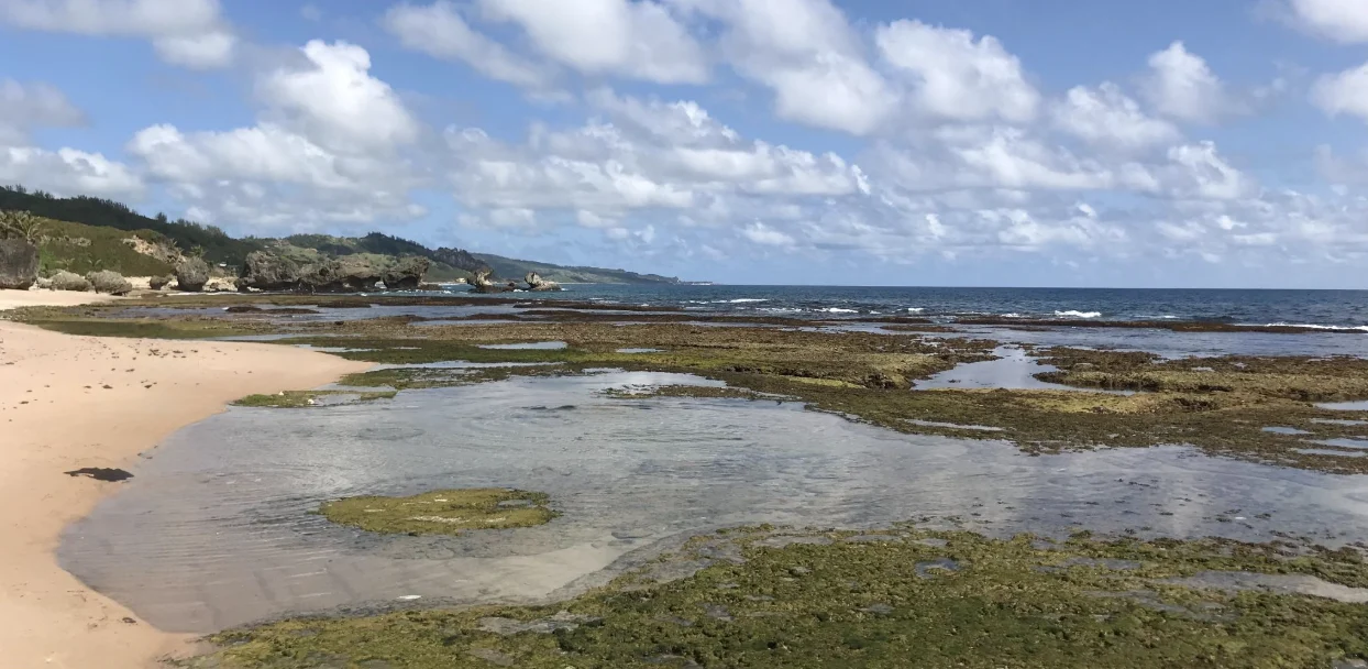 Bathsheba Rock Pools: Barbados’ Best-Kept Secret